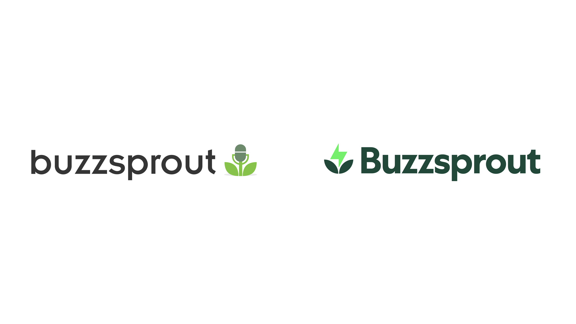 Buzzsprout品牌形象设计：焕发播客花联网平台新活力